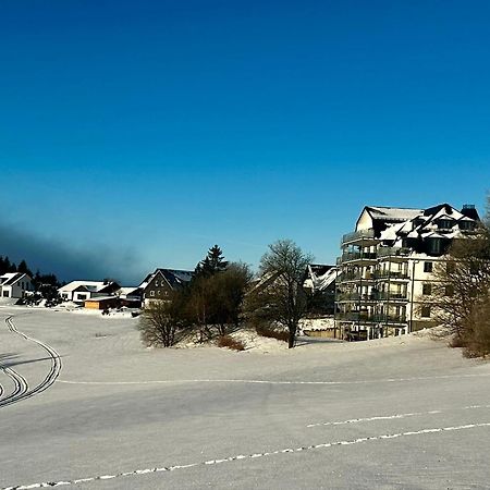 Astenblick Apartments Winterberg With Sauna Dış mekan fotoğraf