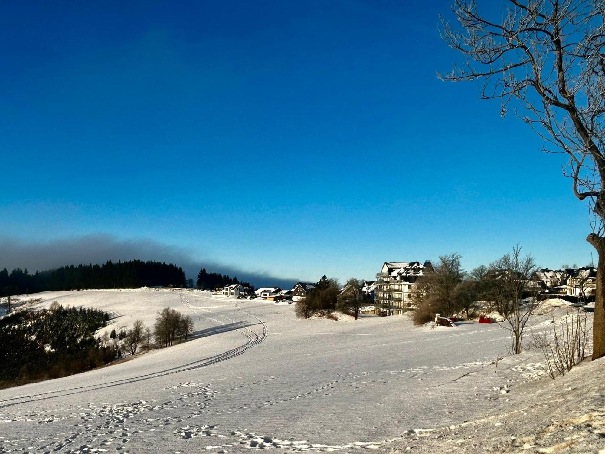 Astenblick Apartments Winterberg With Sauna Dış mekan fotoğraf