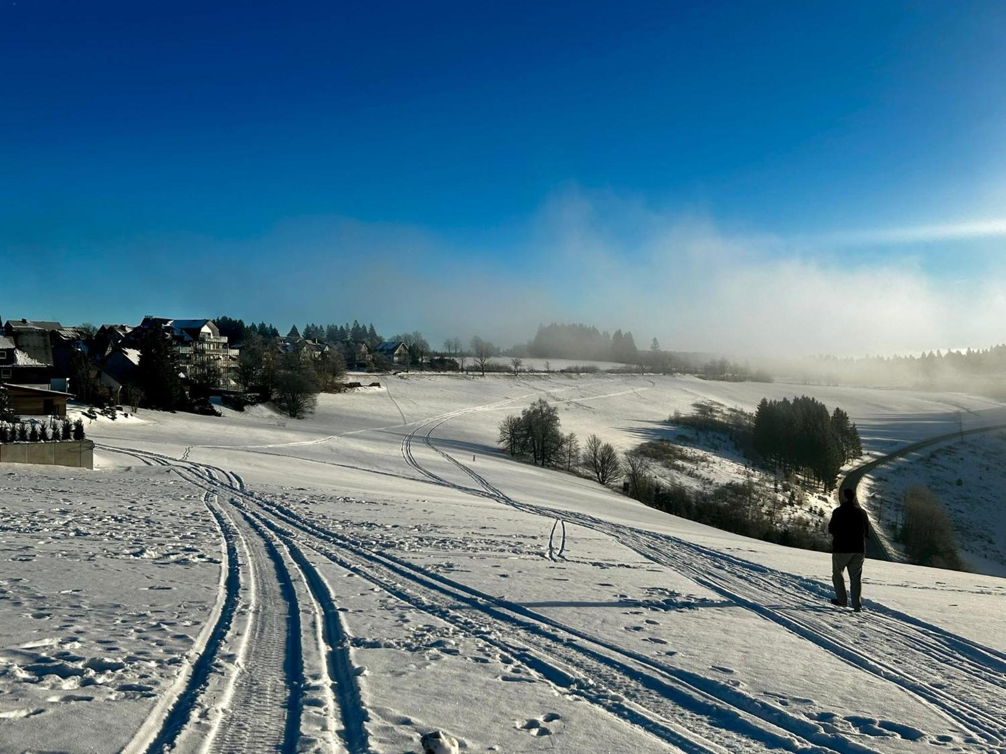 Astenblick Apartments Winterberg With Sauna Dış mekan fotoğraf
